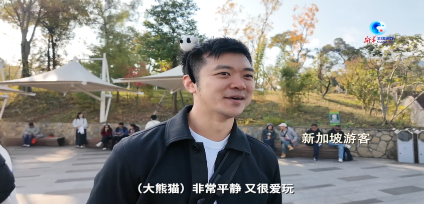 同比增長(zhǎng)超70% 全球游客為熊貓“扎堆”成都